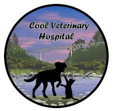 Cool Animal Hospital